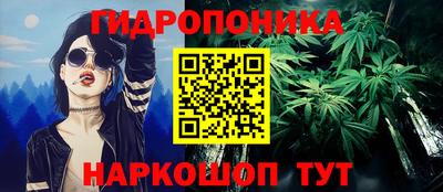 шишки Гусь-Хрустальный