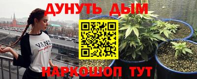 шишки Гусь-Хрустальный