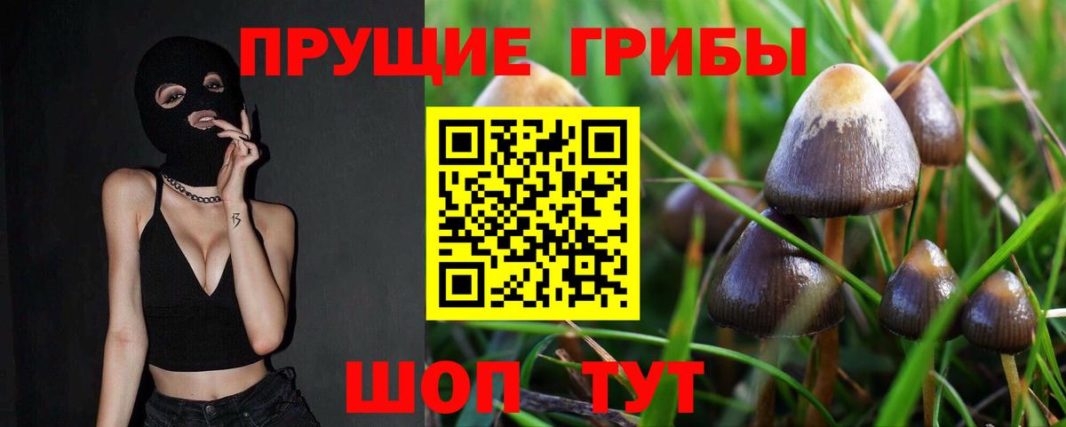 Минусинск  Галлюциногенные грибы GOLDEN TEACHER  Вход с VPN 